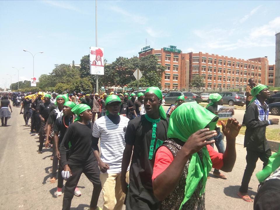ashura1440 mourning procession in Abuja